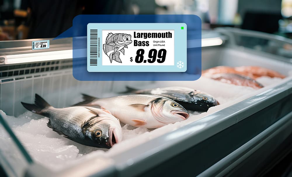 fresh food supermarket.jpg