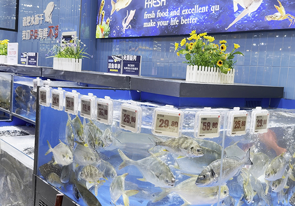 New Supermarket in China Launched with Digital Display