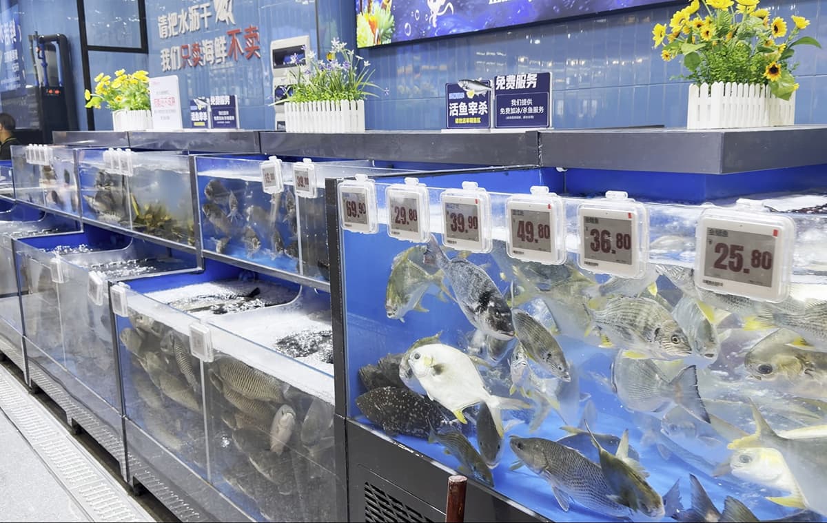 electronic paper display.jpg